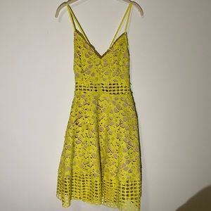 Lovers +friends Lace Dress